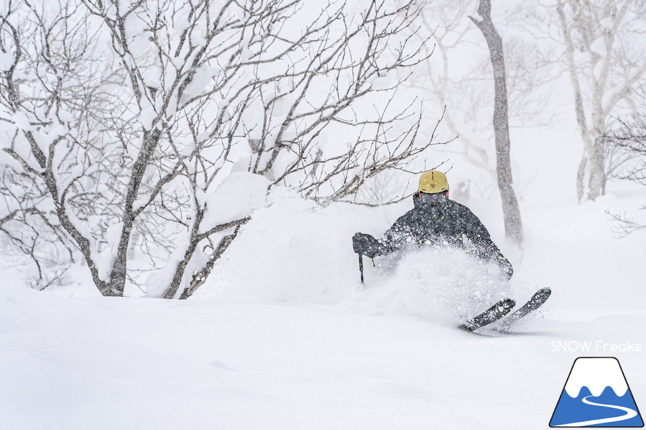 ニセコ東急グラン・ヒラフ｜積雪400cm！ニセコの『PowderSnow』を味わい尽くす、贅沢な時間♪